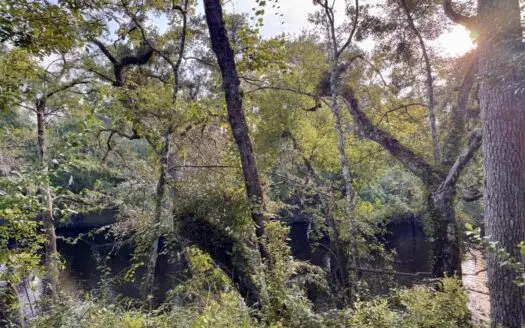 Alapaha River Front Property For Sale in Jasper, FL