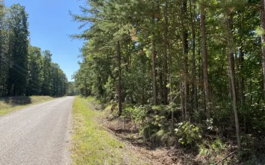 Land For Sale In Tn. Mature Hardwoods, 7.5Ac+/- No Restrictions