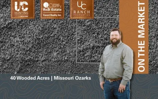 Acreage for sale in Ripley County | Missouri Ozarks