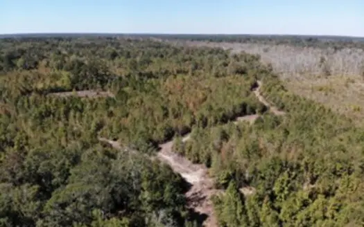 98 ac property offers a perfect mix of accessibility & seclusion