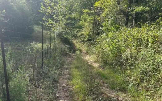 40 Acre (m/l) Hunter’s Paradise in St. Clair County, Missouri