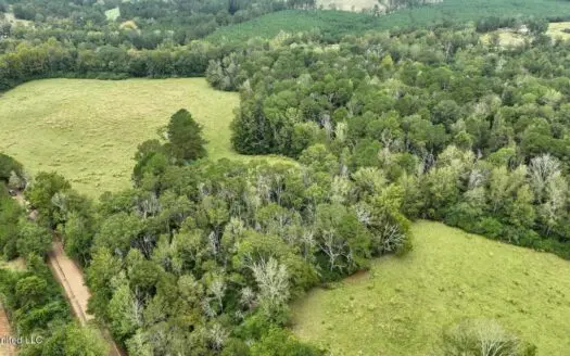 Prentiss MS Pasture Land for sale