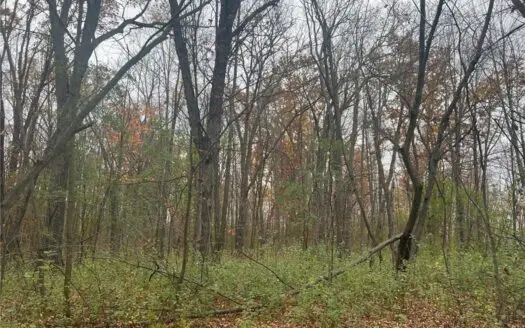 20 Acres of Wooded Hunting Land For Sale in Ogilvie Minnesota