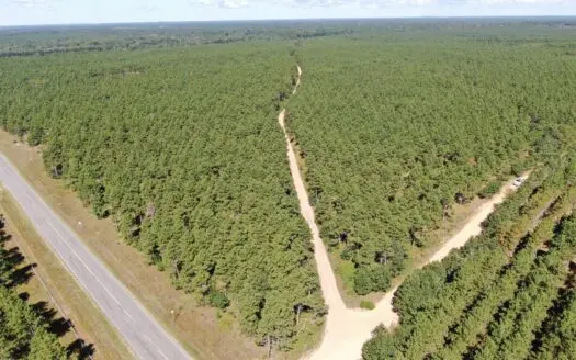 40-acre wooded parcel in the Town of Rome