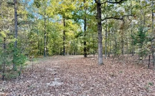 Hunting Land For Sale in Arkansas- Izard County