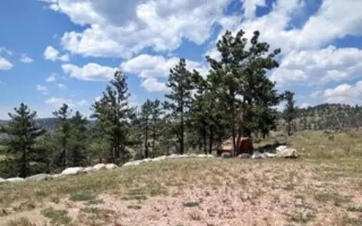 Lot with Views in the Mountains of Northern Colorado.