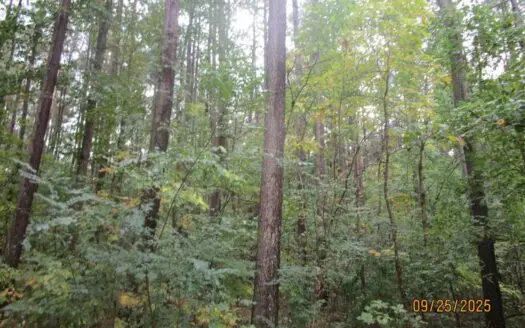 Sealed Bid: Prime 64 Acres Land & Timber Investment in Meherrin!