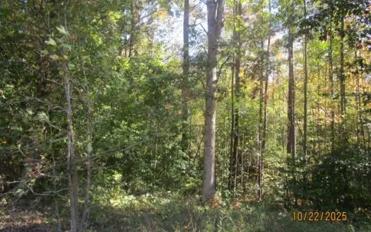 38.82 Acres of Prime Virginia Timberland. Build or Hunt!