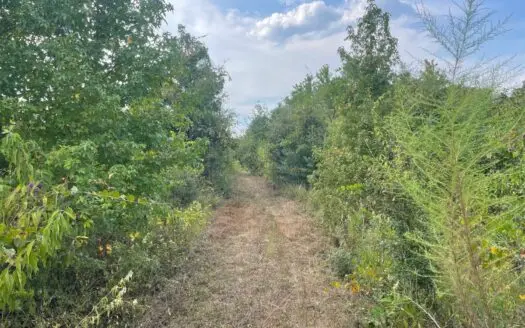 40 Acres Beauregaurd Parish LA