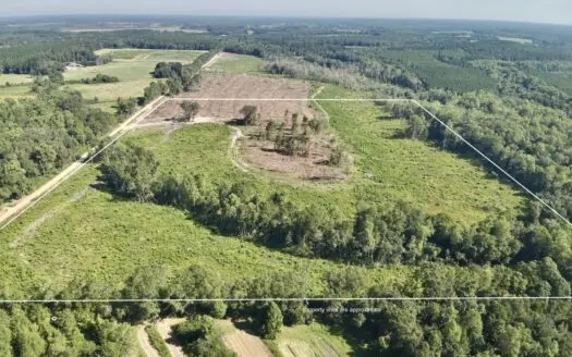 65 +/- Tindil Creek Road, Slocomb, AL for sale