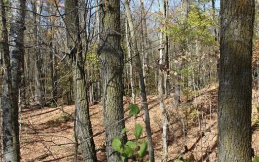 Northwoods Paradise w/ Trails & Ponds For Sale in Isle, MN