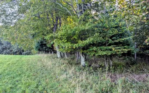 Large Tract of Land for Sale in Check VA