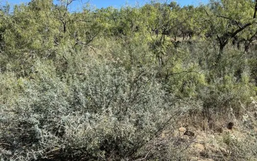 Lot at Lake Brownwood For Sale