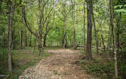 302 Acres in Hermanville, Claiborne County, MS Land