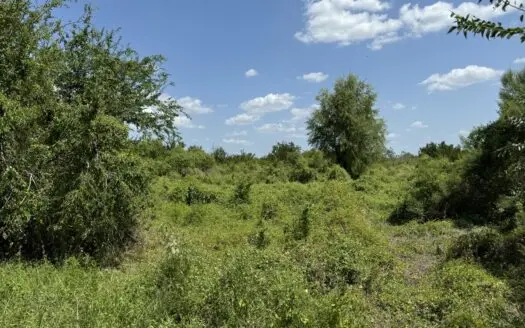 Build Your Dream Home Near Choke Canyon State Park!