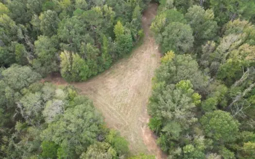 Hunting Land in Claiborne County, MS – The Sawmill 98