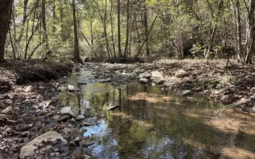 Forest Land For Sale In Ozark Mountains Of Arkansas