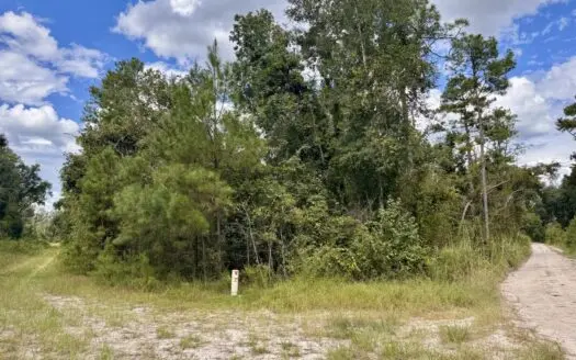 Wooded 1.14-Acres Lot Located In Jasper, FL