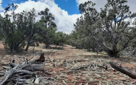 Secluded 2 acre off grid property in Northern AZ