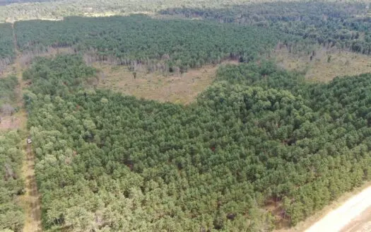 80-acre timber tract in Adams County