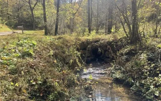 72.28 Acres for Sale in Unicoi County, Tennessee