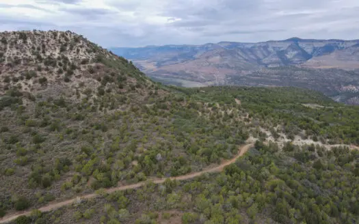 Hunting Land For Sale in Grand Junction, CO!