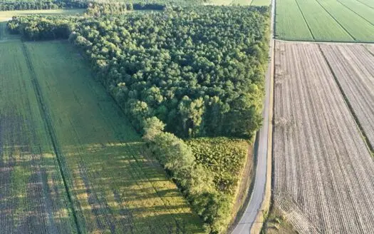 25 Acres Timber & Hunting Land for Sale in NC