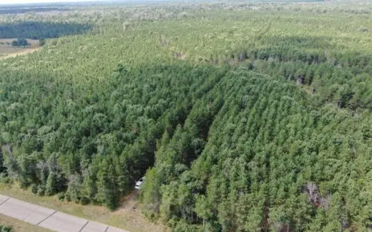 80-acre timber tract in the Town of Big Flats