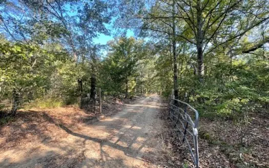 Northeast Texas, Lamar County Hunting Land For Sale
