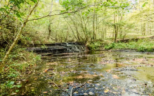 Off-Grid Farm & Recreational Land — 184.93± Acres in Tennessee!