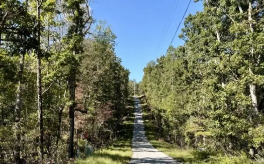 Secluded and Private Lot close to Tennessee River