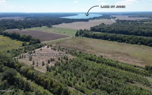 Tensas Parish Land Near Lake St. John – 80 Acres