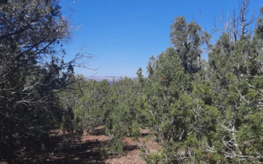 Remote Northern AZ off grid mountain property