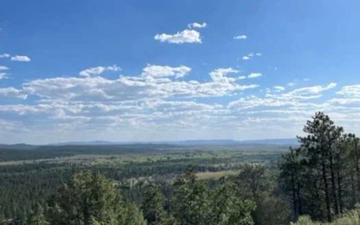 Recreational Mountain Land for Sale near Chama NM, Fishing