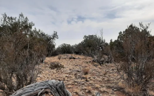 BILLION DOLLAR VIEWS !! This Northern AZ off grid property