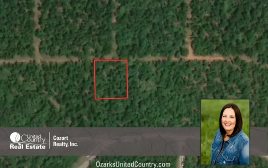 Land For Sale near Lake in Arkansas