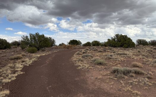 Rural Land for sale near Snowflake AZ in Eastern AZ, Seller Finan