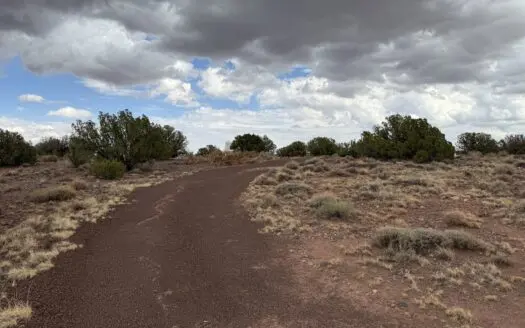 Rural Land for sale near Snowflake AZ in Eastern AZ, Seller Finan