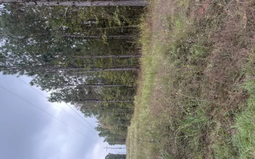 “13.09 Wooded Acres on MC 35 – Prime Land with Power Available !!