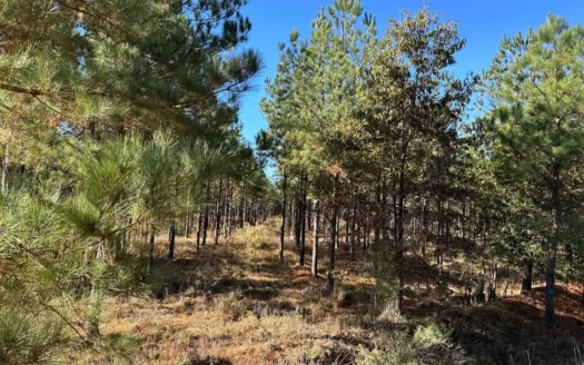 Lake GP 385.66 Acres Located in Ashley County, AR