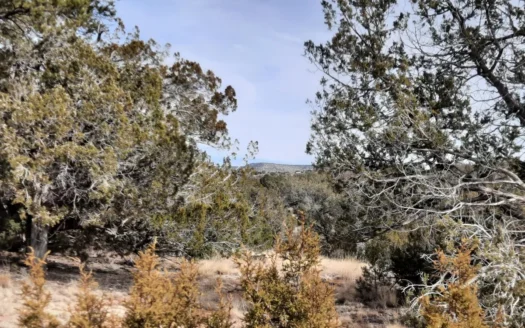 Nice Northern AZ off grid property