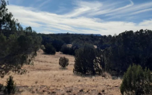 Rural off grid Northern AZ Property