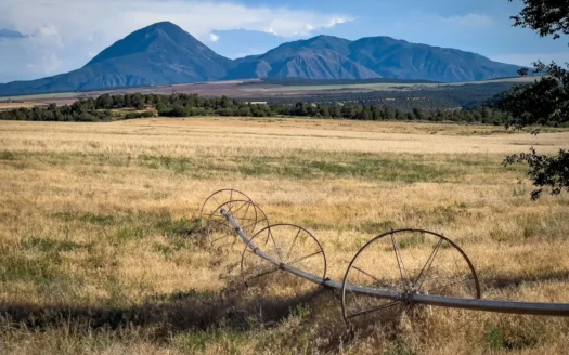 882 Acres Farm near Cortez Colorado For Sale!