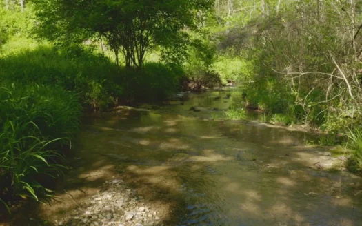 East Tennessee Mountain Land With an Abundance of Water