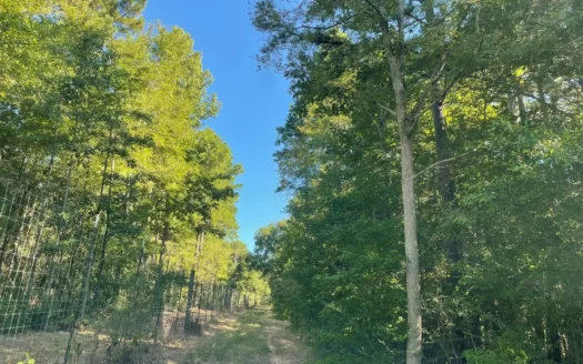Cherokee County Recreational/Hunting Land For Sale