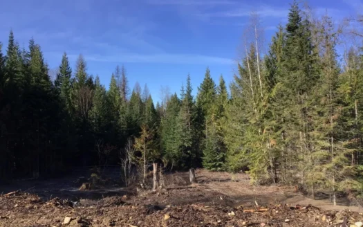 Investment Land for Sale in Sandpoint, ID