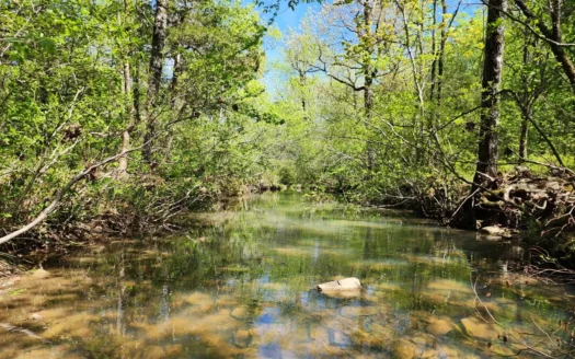 Billy Creek 20 Acres – Adjoining National Forest