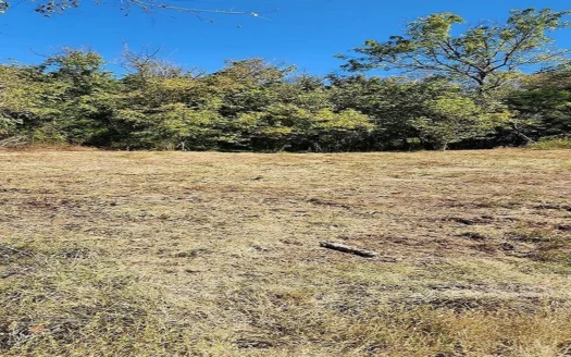 Unprecedented Opportunity: Estate Auction in Eidson, Tenness