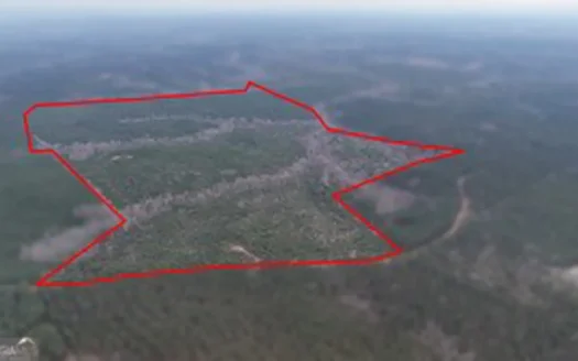 1786 Andrews Road Warrenton, GA 30828