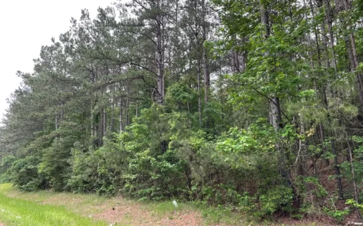 Houston County Texas Recreational/Hunting Land For Sale